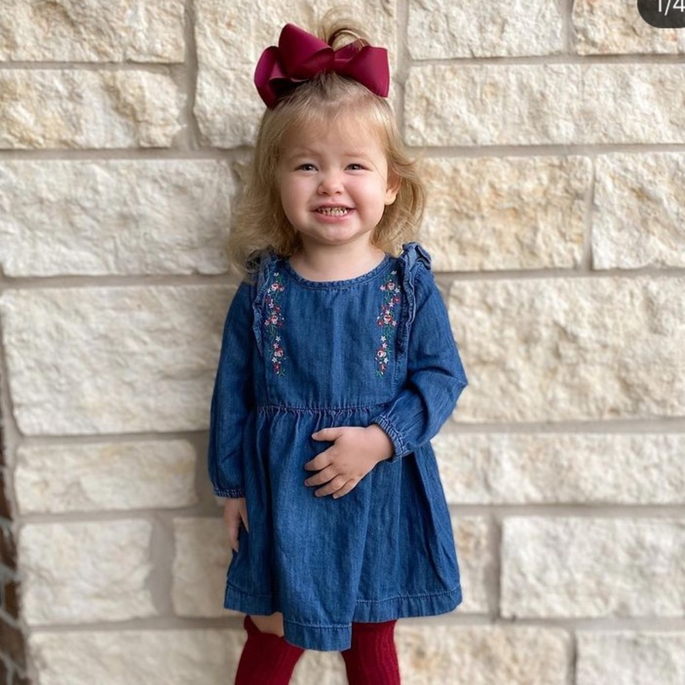 Chambray Dress with Floral Embroidery